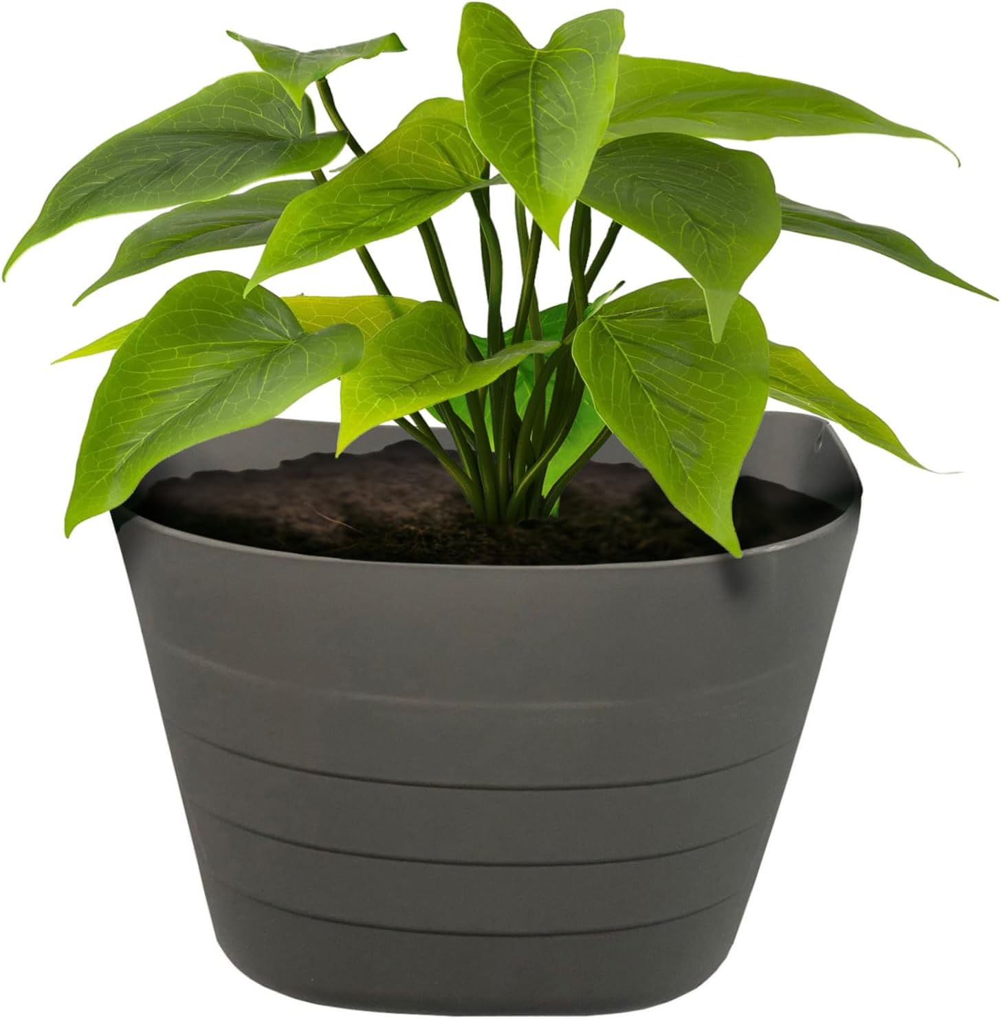 12 Inch Gray Wall Planter, Self-Watering Concrete Hanging Planter for Indoor & Outdoor Use, Large Wall Planter with Self-Watering Grid, Ideal for Flowers, Vegetables & Herbs, UV Resistant