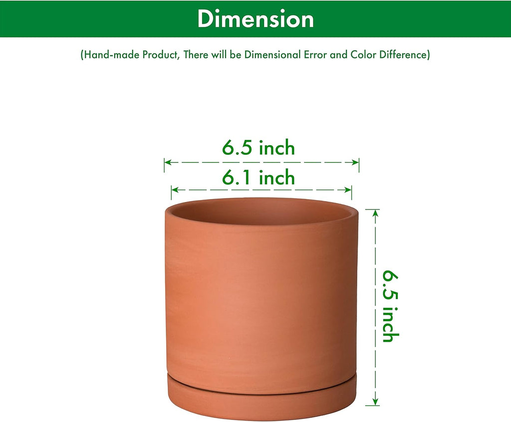 D'vine Dev Small 6 Inch Terracotta Plant Pot with Drainage Hole and Saucer, Round Cylinder Planter Pot for Indoor Plants, 40-X-A-3