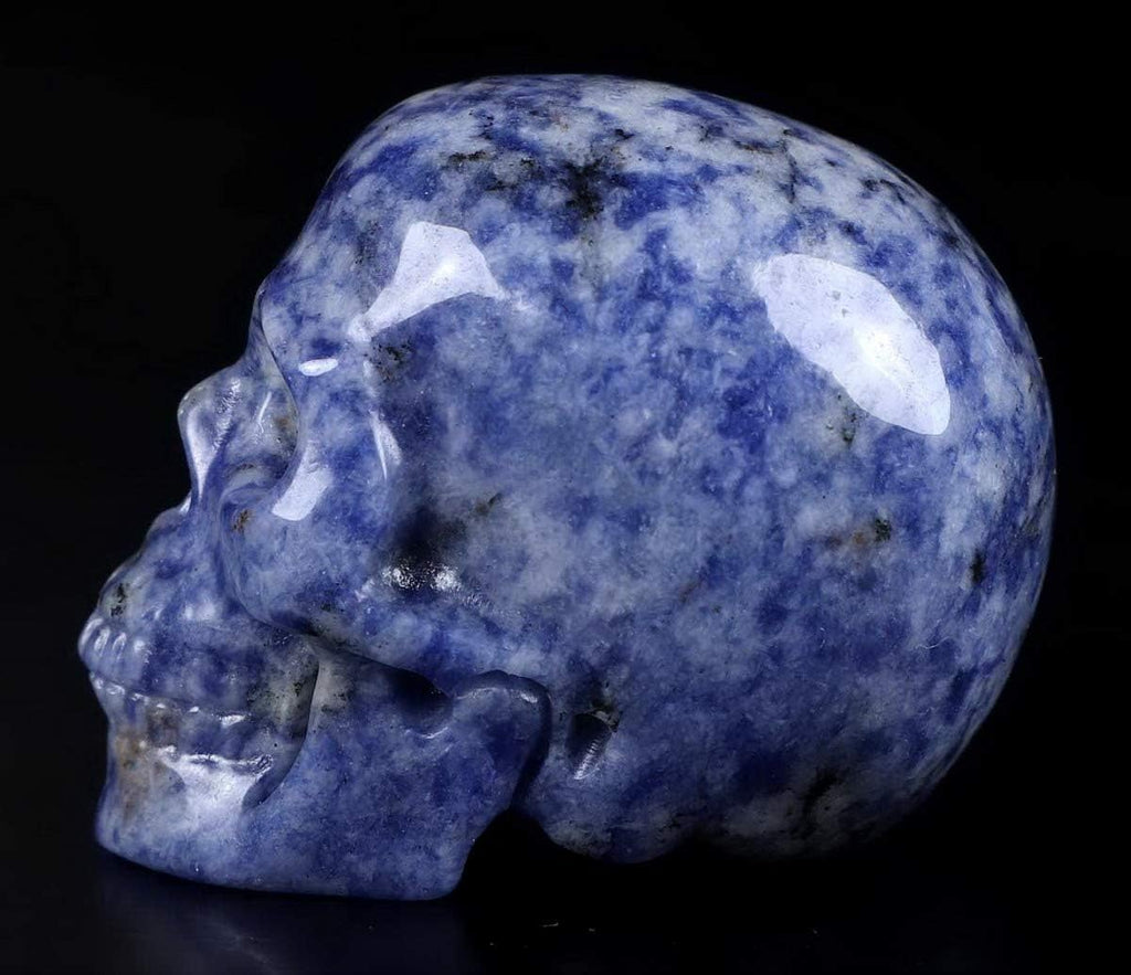 Skullis 2.0" Blue Speckled Sodalite Crystal Skull, Hand Carved Gemstone Fine Art Sculpture, Reiki Healing Stone Statue.
