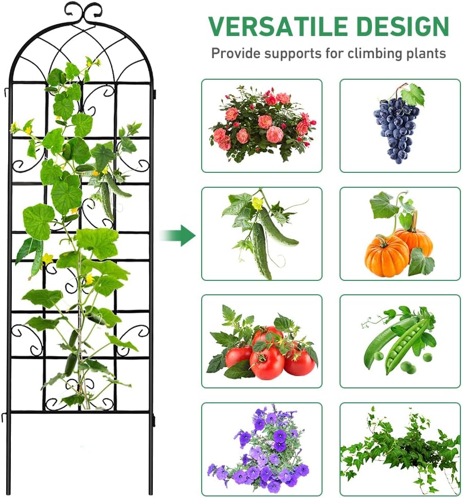 4 Pack 72x20in Rustic Iron Arch Decoration Garden Trellis with Black Metal Coating – Perfect for Supporting Climbing Plants Outdoor, Roses, Vines, Flowers, and Vegetables.