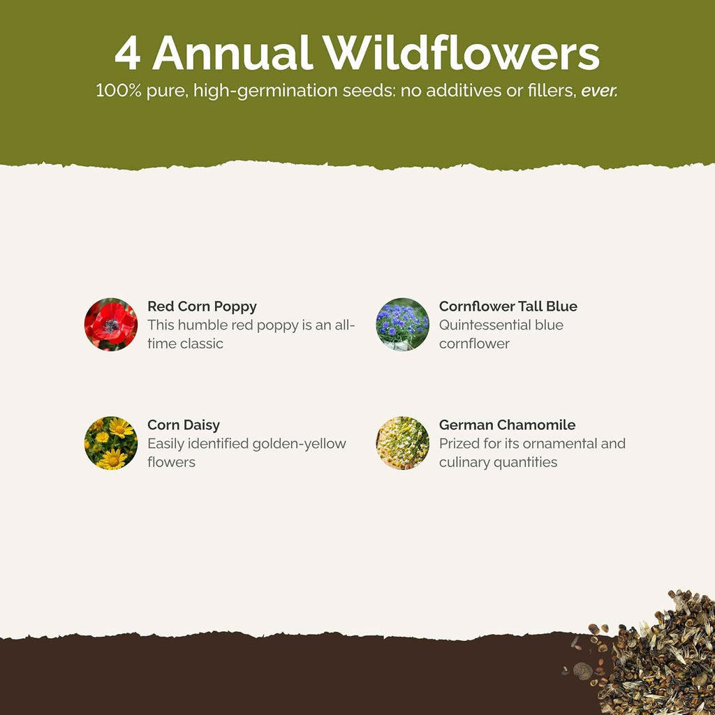 Eden Brothers Back to Basics Flower Mixed Seeds for Planting, 1 lb, 480,000+ Seeds with Cornflower Tall Blue, Corn Daisy | Attracts Pollinators, Plant in Spring or Fall, Zones 3, 4, 5, 6, 7, 8, 9, 10