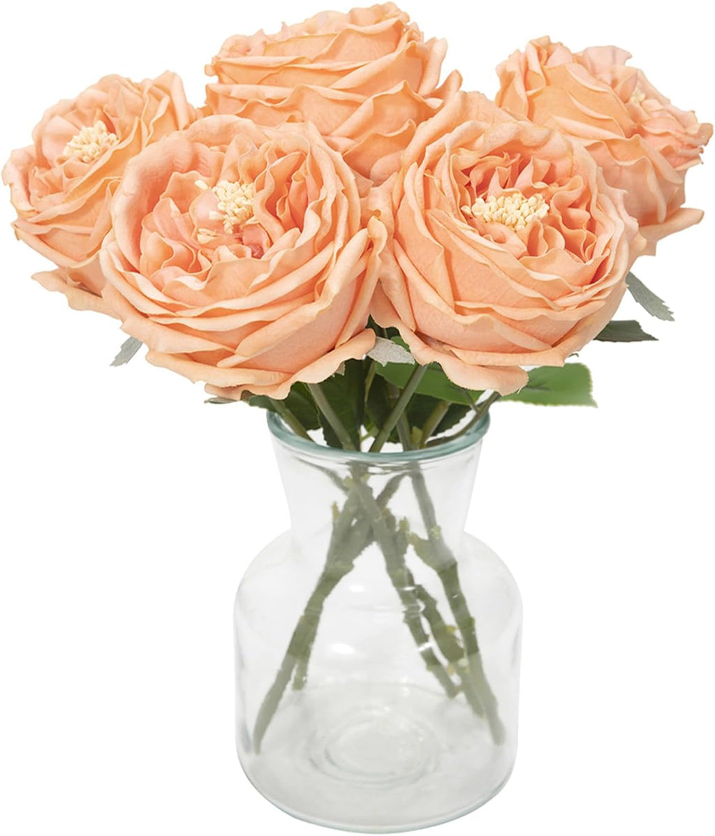 DuHouse 5Pcs Silk Roses Fake White Roses with Stems Real Touch Rose Artificial Flowers for Arrangement Wedding Party Home Decoration(Peach Fuzz)