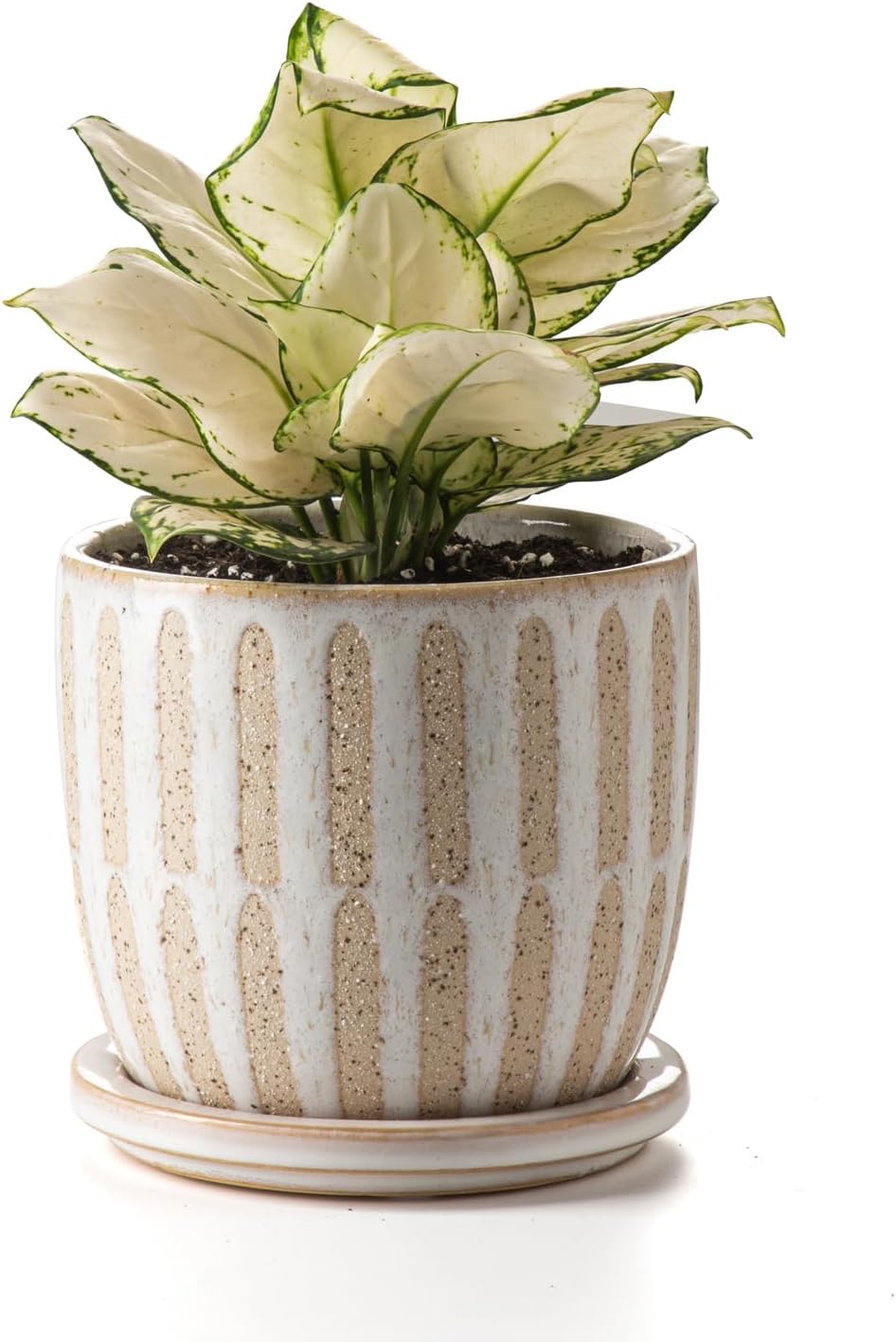 Ceramic Flower Pots Indoor-Outdoor: 5.75 Inch Planters with Drainage Holes & Saucer - Modern Decorative Plant Pots Ceramic for Home Gardeners (Striped)