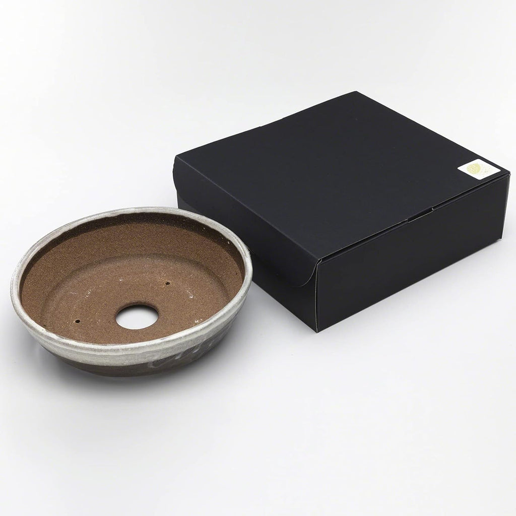 Wazakura Shigaraki Series Handmade White Stripe Glazed Ceramic Bonsai Pot with Drainage Hole, 8.2 (210 mm) Made in Japan, Garden Training Container, Flower Planter, Succulent Bowl - Big Size