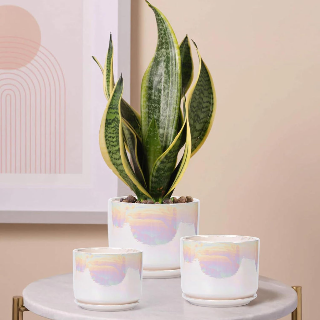 EFISPSS Plant Pots, 4+5+6 Inch Pots for Indoor Plants,Ceramic Planter Pot with Drainage Hole,Flower Pots for Succulent Cactus,Set of 3 - Rainbow Pearl Glaze