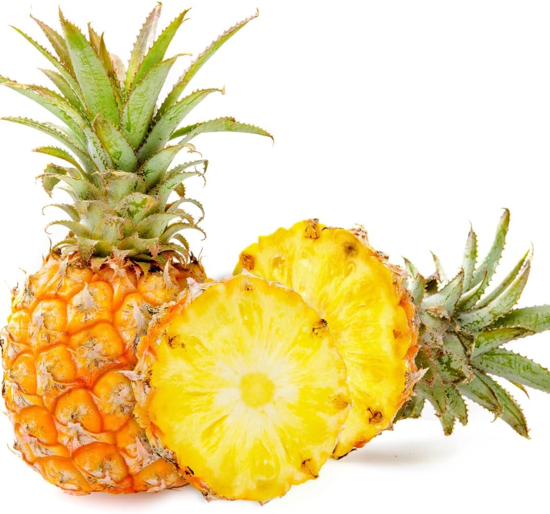 Pineapple Plant Live, Sugarloaf Pineapple Tree Shrub Bush, Starter Plant 4-7 Inches Tall, Outdoor Growing, No Pot, Sweet Flavor