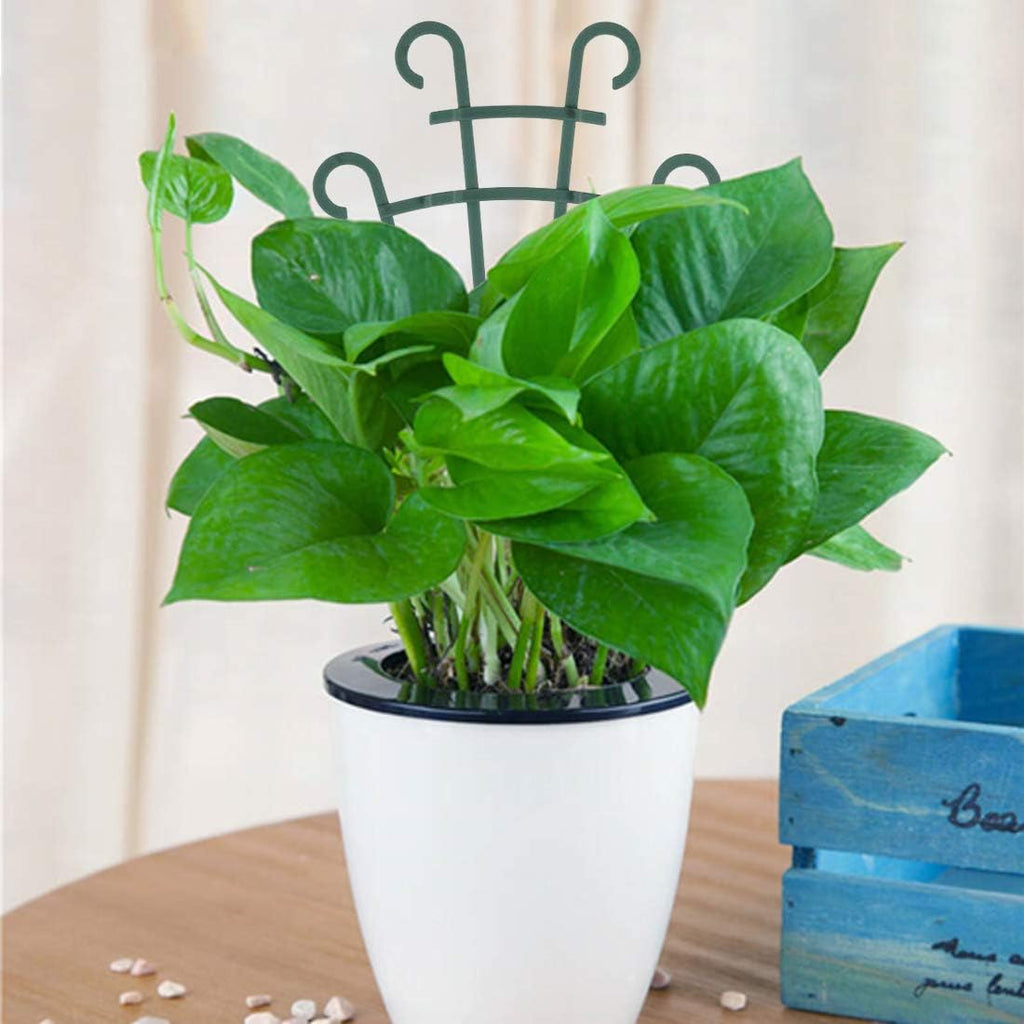 Indoor Small Trellis, 6Pcs Plant Trellis for Climbing Plants Trellis for Potted Plants Stackable Plastic Pot Plant Support Trellis for Indoor Outdoor Hoya Vines Pothos Houseplants
