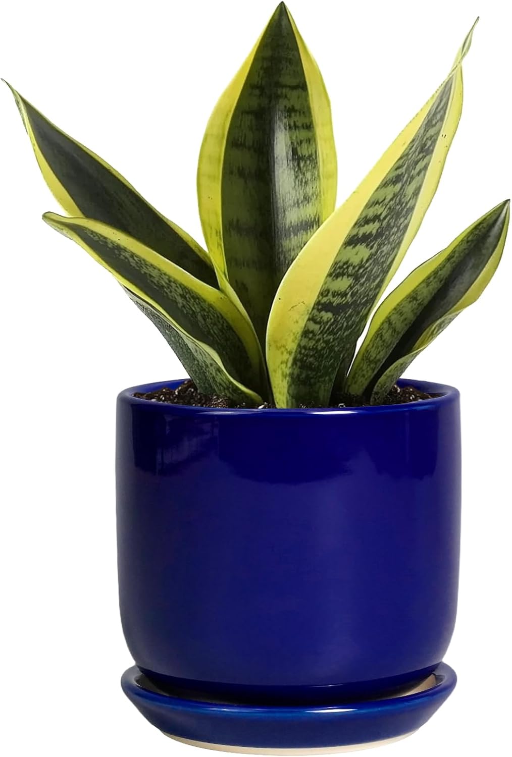 Succulent Pot 5 Inch - Modern Ceramic Planter for Indoor Plants with Drainage Hole and Saucer, Office Home Room Patio Decor, Blue