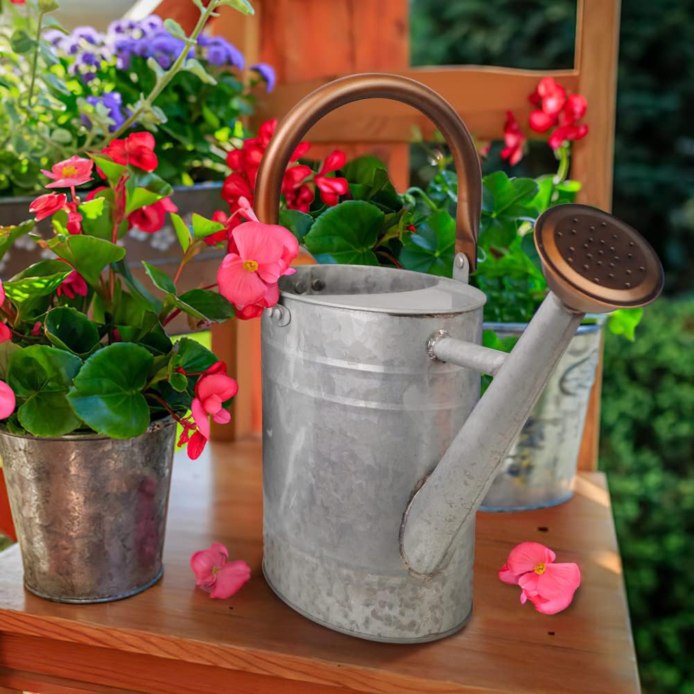 1 Gallon Metal Watering Can with Removable Spout, Nice Galvanized Steel Water Can with Embossed Design for Indoor and Outdoor Plants
