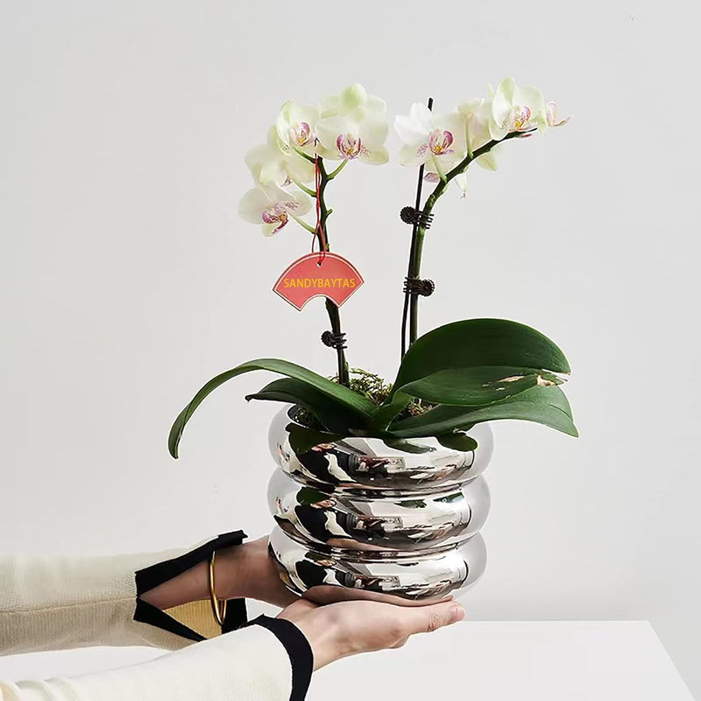 Ceramic Plant Pot Indoor, 4.7 Inch Flower Pot with Drainage Hole, Small Bubble Design Ceramic Planter for Home & Office Decor (Silver)