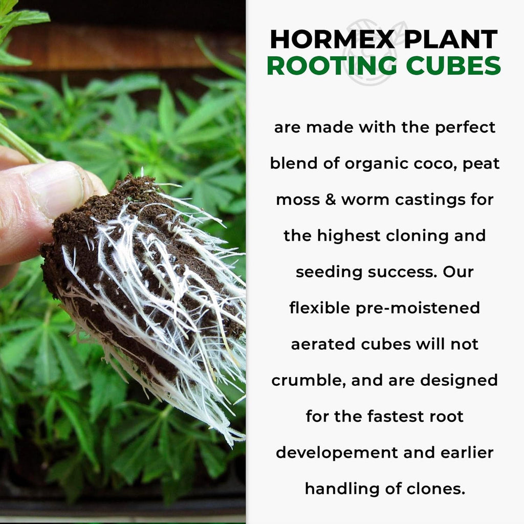 Hormex Rooting Powder #3 & Rooting Cubes Combo - Rooting Hormone for Semi-Softwood Cuttings & Organic Peat Moss Coco Plugs - Fast, Healthy Root Growth for Propagation, Hydroponics, & Seed Starting