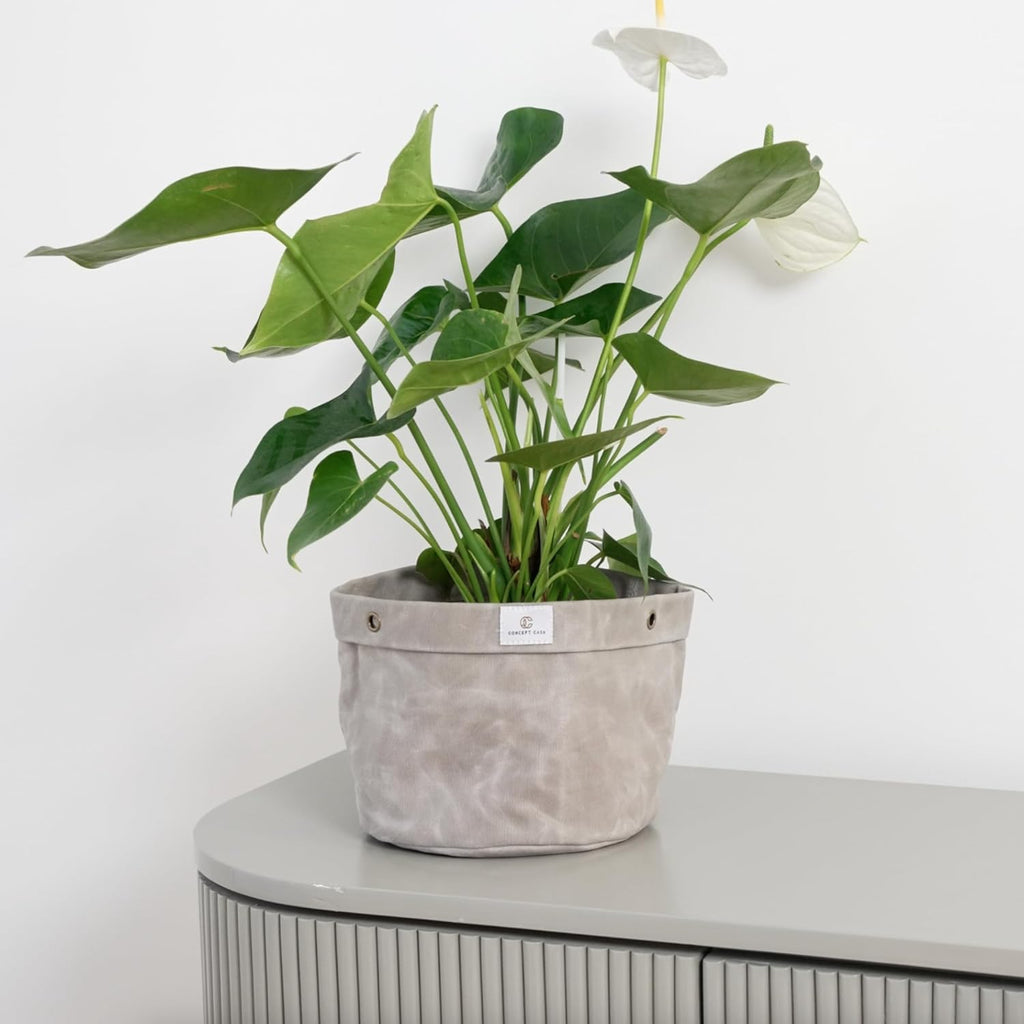 Large Waxed Canvas Handmade Hanging Planter for Indoor/Outdoor Plants, Hanging Basket Plant Holder Stone Gray with Hook