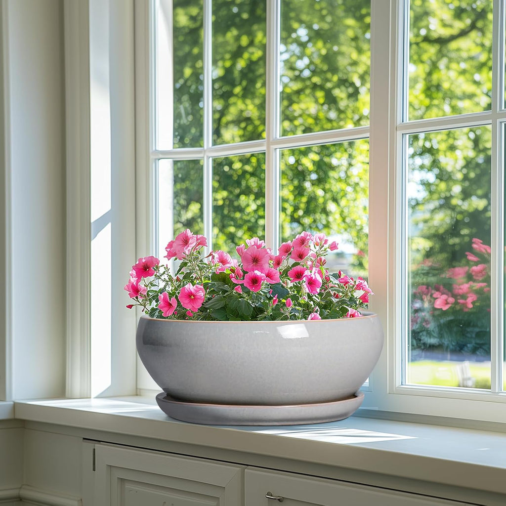 SQOWL 12 Inch Bonsai Pots - Large Ceramic Succulent Pots with Drainage Hole and Saucer, Shallow Planter for Indoor Outdoor Plants Flowers, Round Planter Bowl, Garden Decor, Gifts for Women, Gray