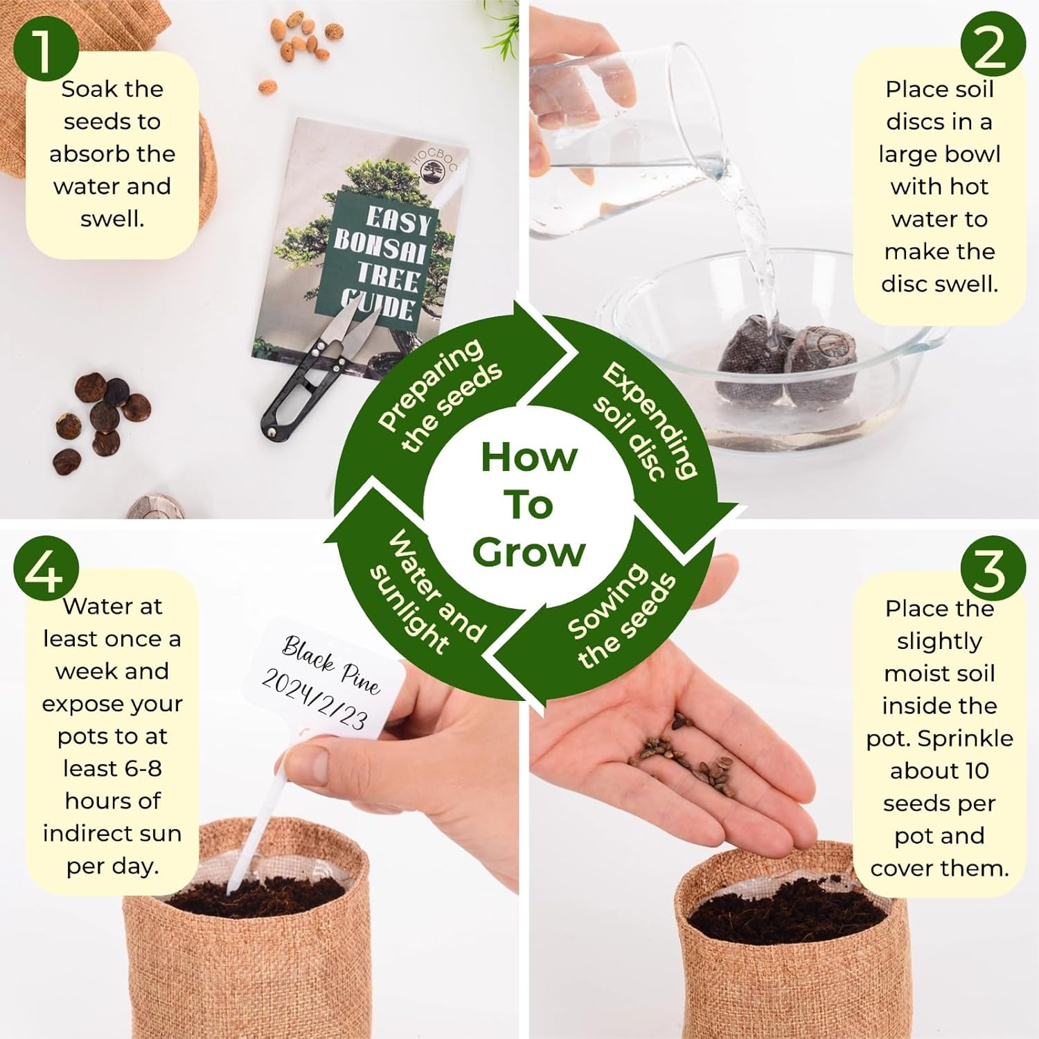 Premium Bonsai Tree kit - 10 Types Bonsai Tree Growing Set for Starter with Soil, Pots, Scissor, Plant Makers, Grow Greenery Indoor, Beginner Planting Kit Plant Gifts