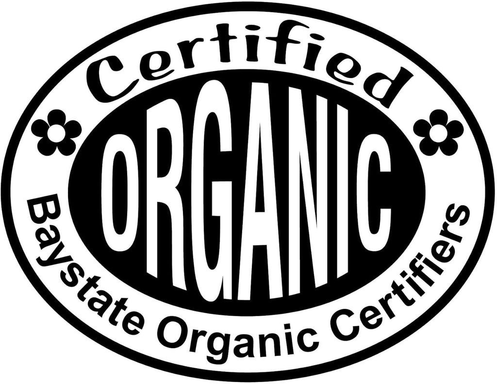 Smoke Camp Crafts Organic Winter Savory Plant in 2.5-inch Pot, Live Perennial Herb