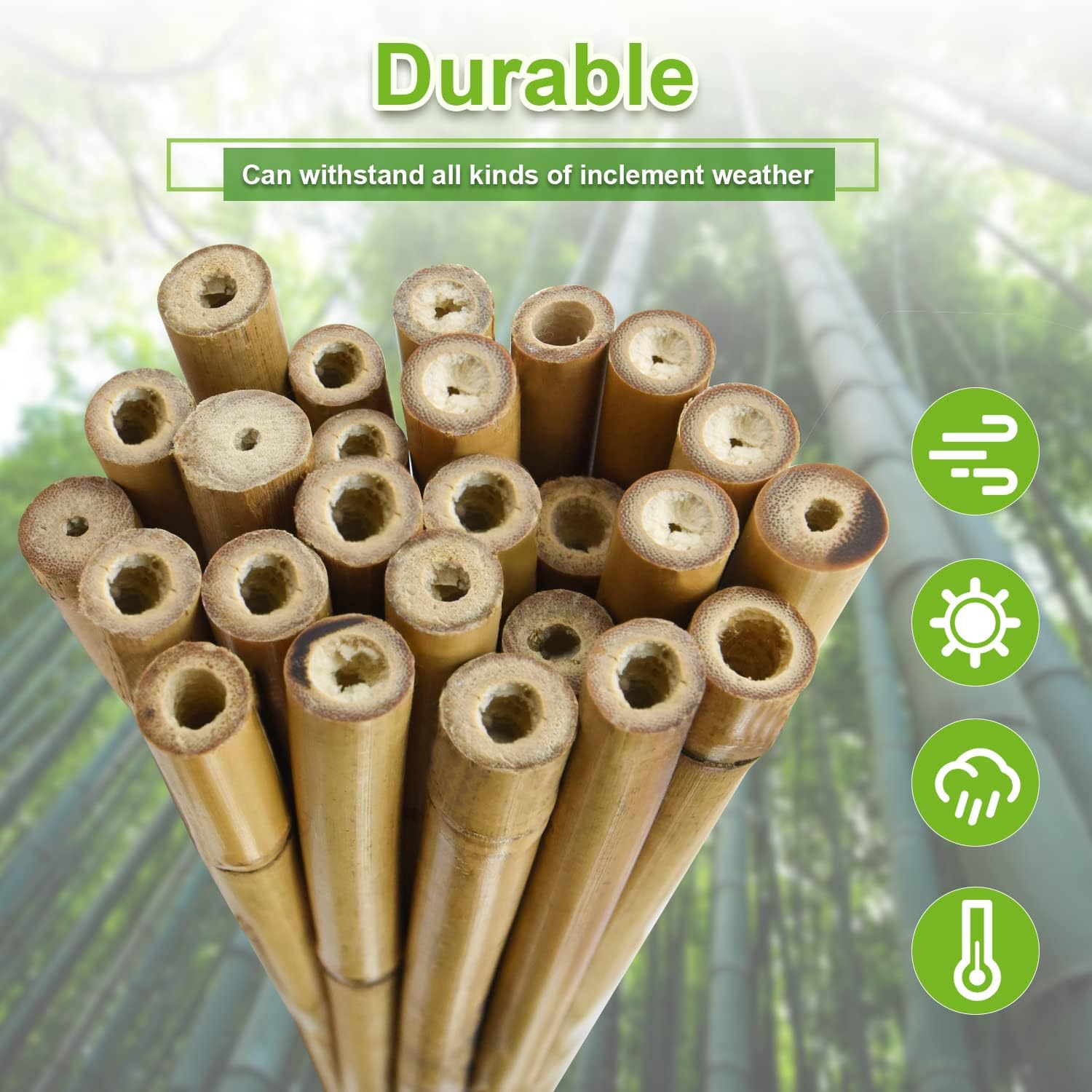15pcs 3/4" D Thicker Heavy Duty Bamboo Stakes, 7FT Plant Stakes, Natural Garden Stakes for Tomato, Bean, Flowers,Trees Potted and Climbing Plant Support