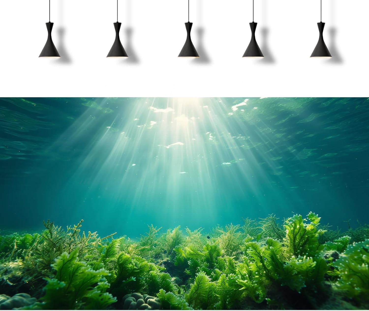 Deep Ocean Fish Tank Background Under The Sea Aquatic Plants Aquarium Background Underwater Corals Sunray Terrarium Backgrounds Tropical Fish Ocean World Aquarium Backgrounds Decorations 72x18in