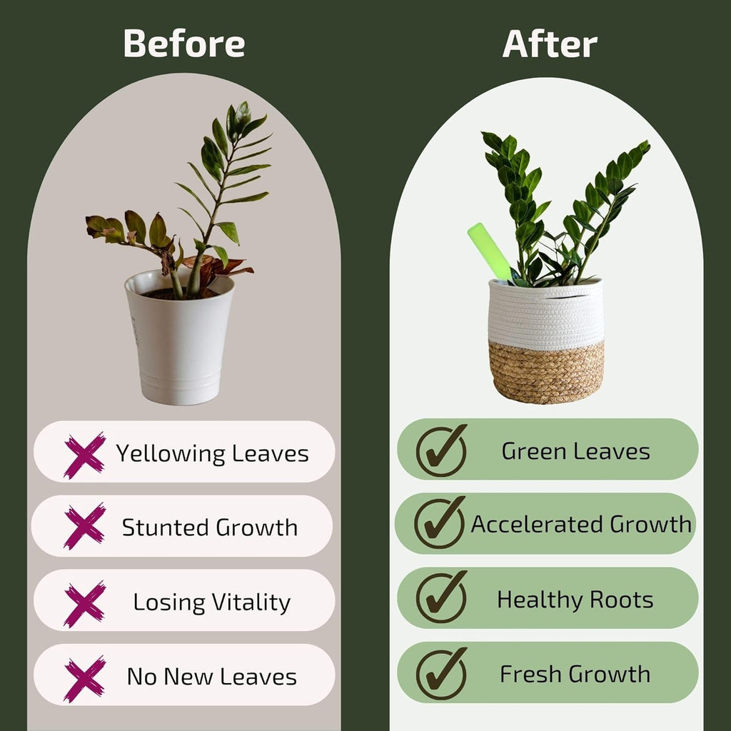 Plant Food for Houseplants | Ready-to-Use Indoor Plant Food Liquid, NPK Fertilizer & Plant Fertilizer Sticks (8 Drip Feeders)