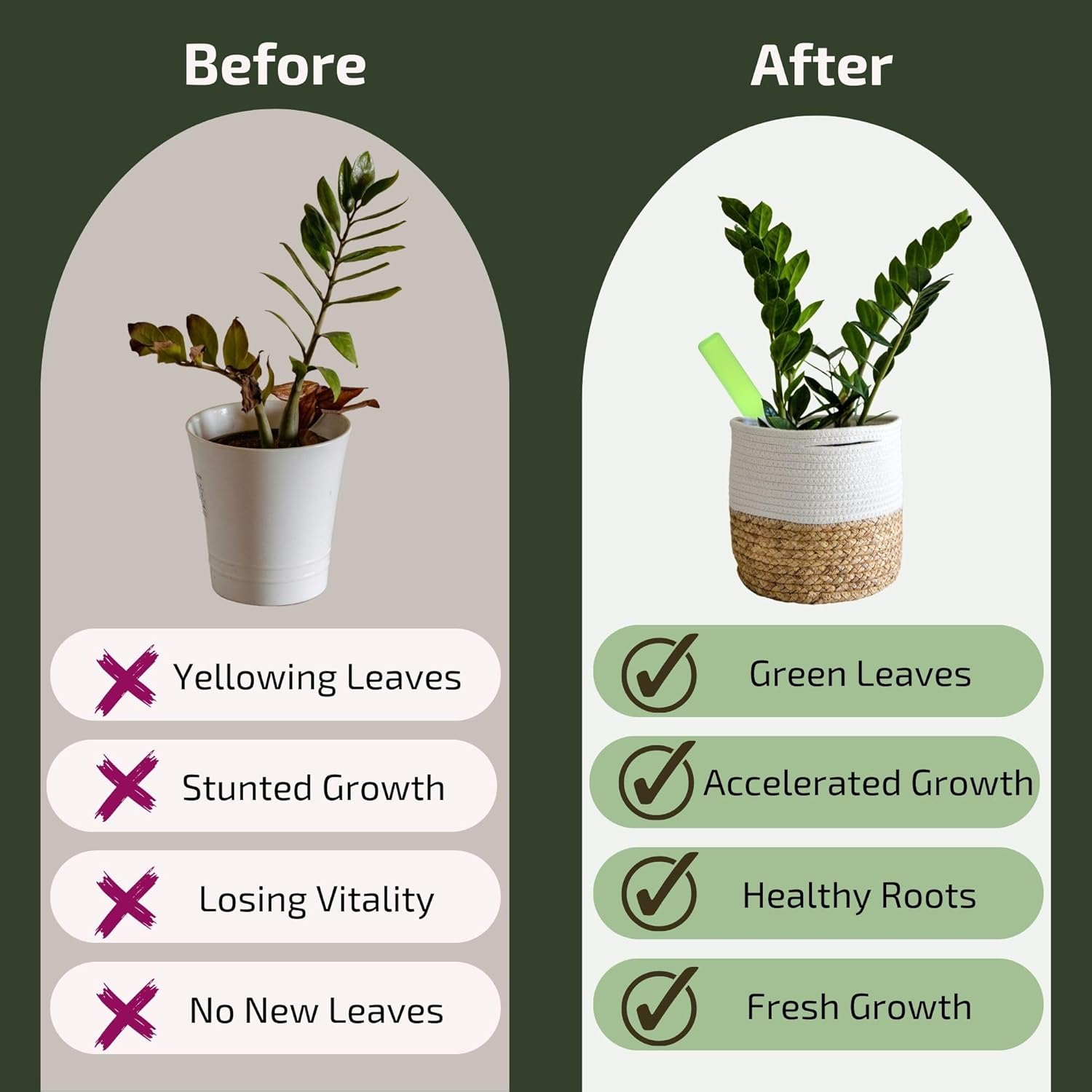 Plant Food for Houseplants | Ready-to-Use Indoor Plant Food Liquid, NPK Fertilizer & Plant Fertilizer Sticks (8 Drip Feeders)