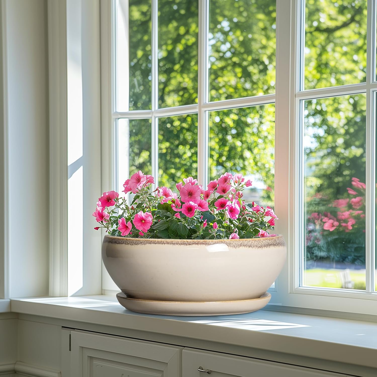 SQOWL Bonsai Pots 12 Inch - Large Ceramic Succulent Planters, Shallow Planter with Drainage Hole and Saucer, Round Bowl Planter for Indoor Outdoor Plants, Home Decor, Plant Lover Gifts, Beige