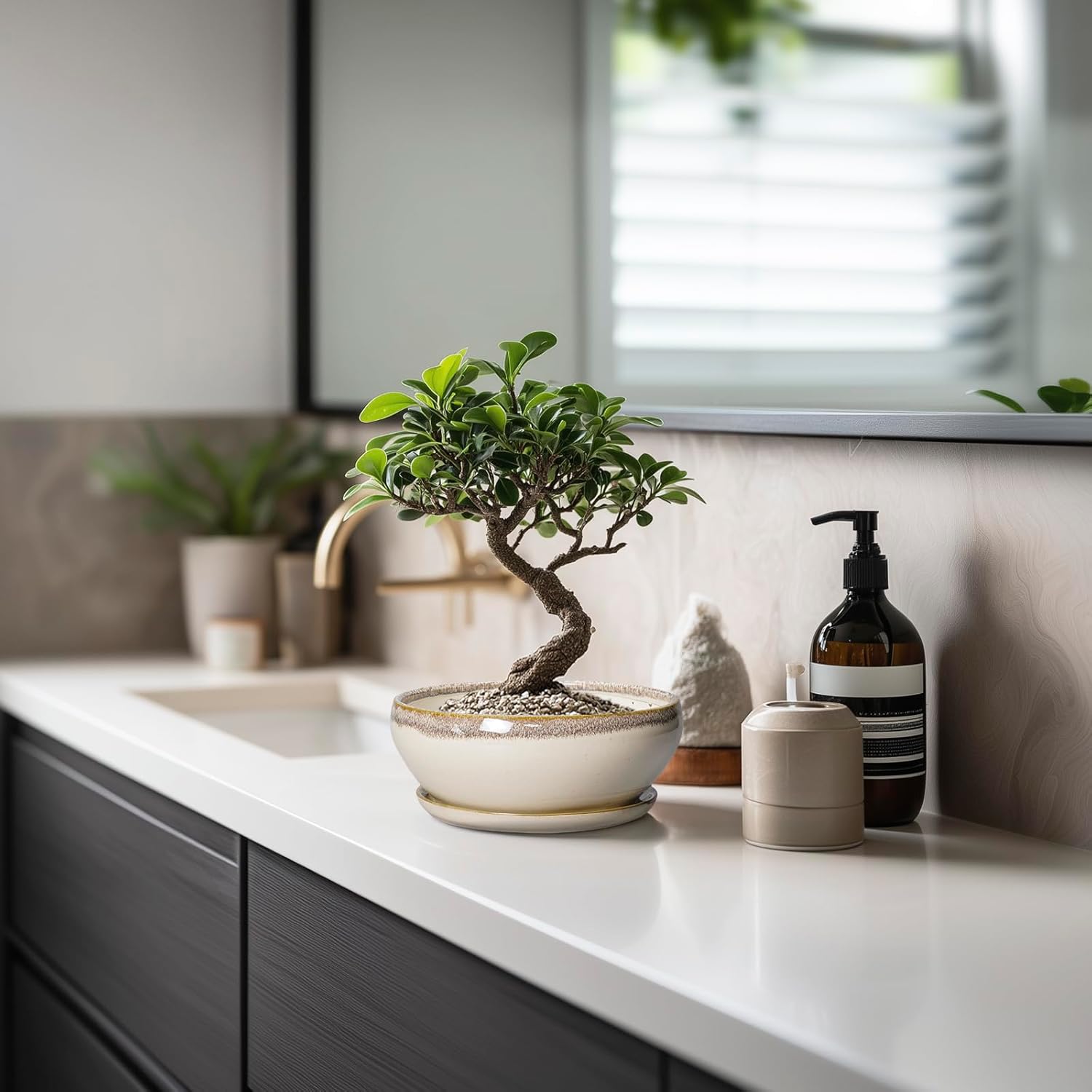 SQOWL Small Bonsai Pots - 6 Inch Ceramic Plant Pots for Succulents, Shallow Planter with Drainage Hole and Saucer, Round Planters for Indoor Outdoor Cactus Plants, House Decor, Birthday Gifts, Beige