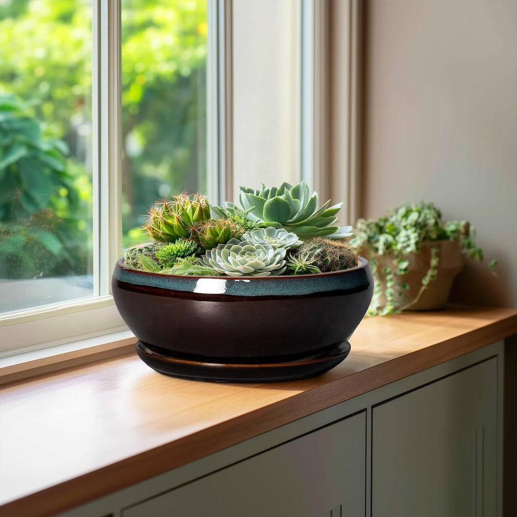 SQOWL Bonsai Tree Pots - 10 Inch Ceramic Succulent Pots with Drainage Hole and Saucer, Round Shallow Plant Pot Indoor Outdoor, Ceramic Bonsai Pot, Bowl Planter, Home Decor, Garden Gifts, Blue-Brown