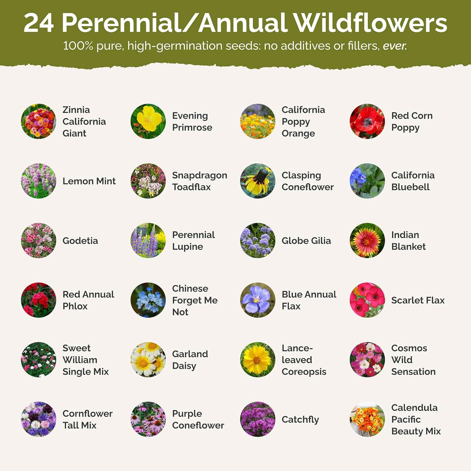 Eden Brothers Heirloom Flower Mixed Seeds for Planting, 5 lb, 2,400,000+ Seeds with Zinnia, Toadflax, Evening Primrose | Attracts Pollinators, Plant in Spring or Fall, Zones 3, 4, 5, 6, 7, 8, 9, 10
