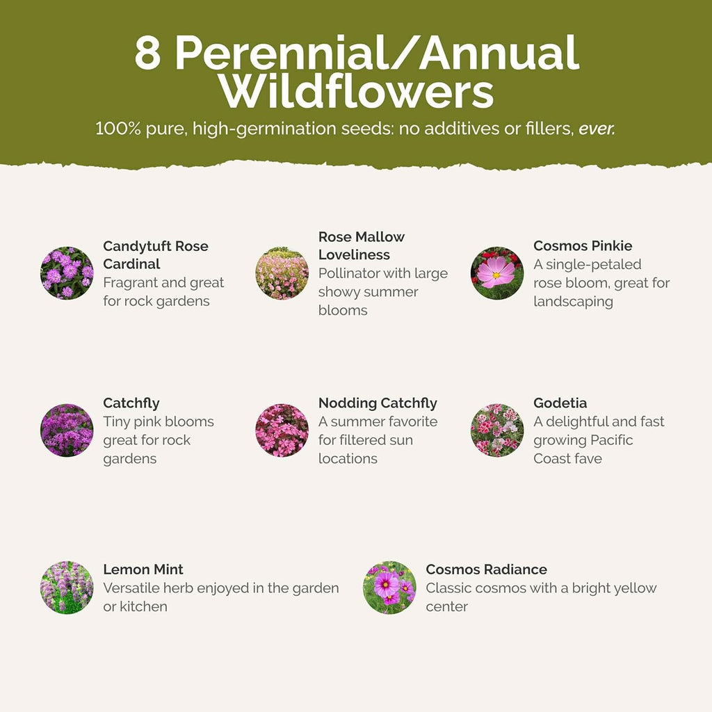 Eden Brothers Pretty in Pink Wildflower Mixed Seeds for Planting, 1 lb, 480,000+ Seeds with Candytuft, Rose Mallow | Attracts Pollinators, Plant in Spring or Fall, Zones 3, 4, 5, 6, 7, 8, 9, 10