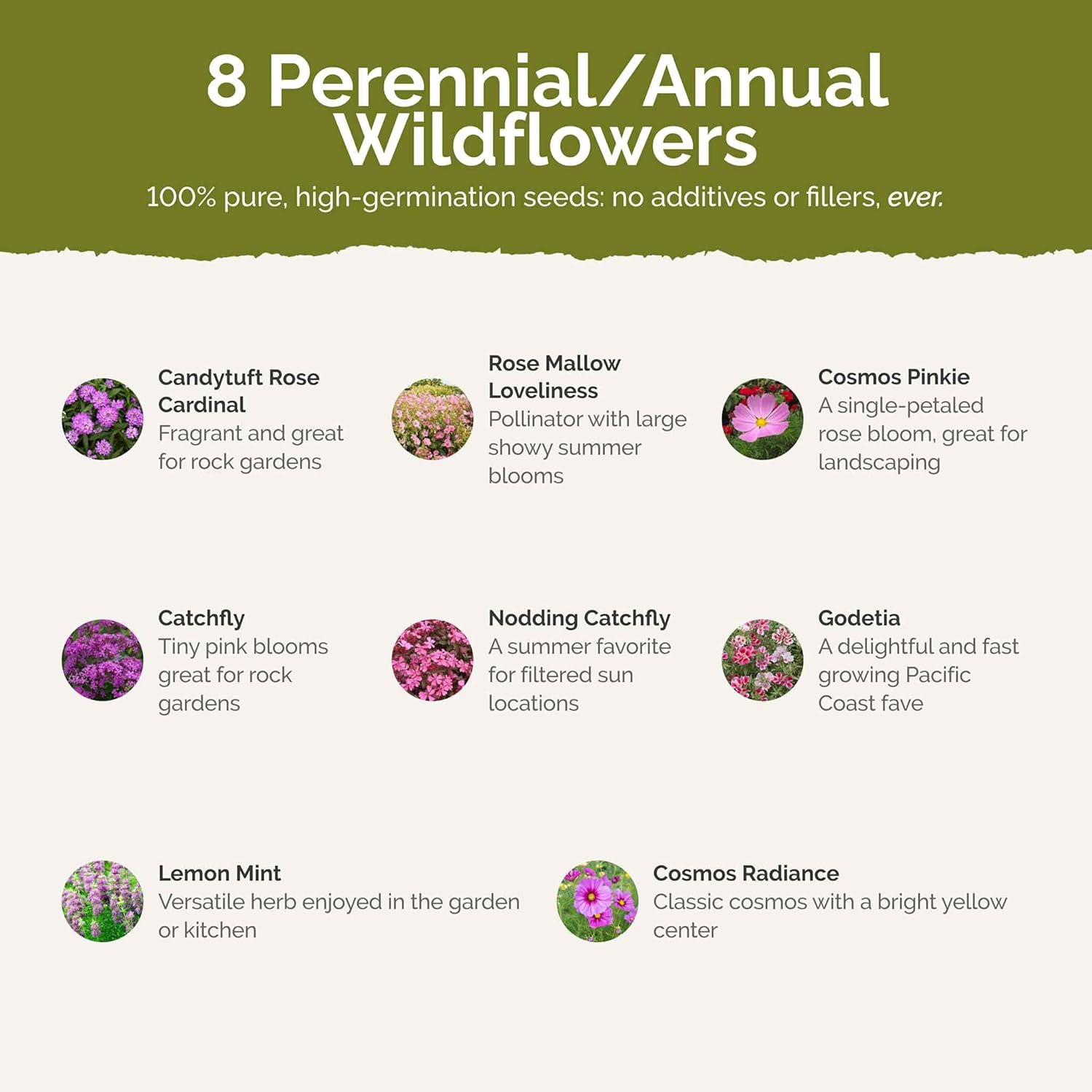 Eden Brothers Pretty in Pink Wildflower Mixed Seeds for Planting, 1/4 lb, 120,000+ Seeds with Candytuft, Rose Mallow | Attracts Pollinators, Plant in Spring or Fall, Zones 3, 4, 5, 6, 7, 8, 9, 10