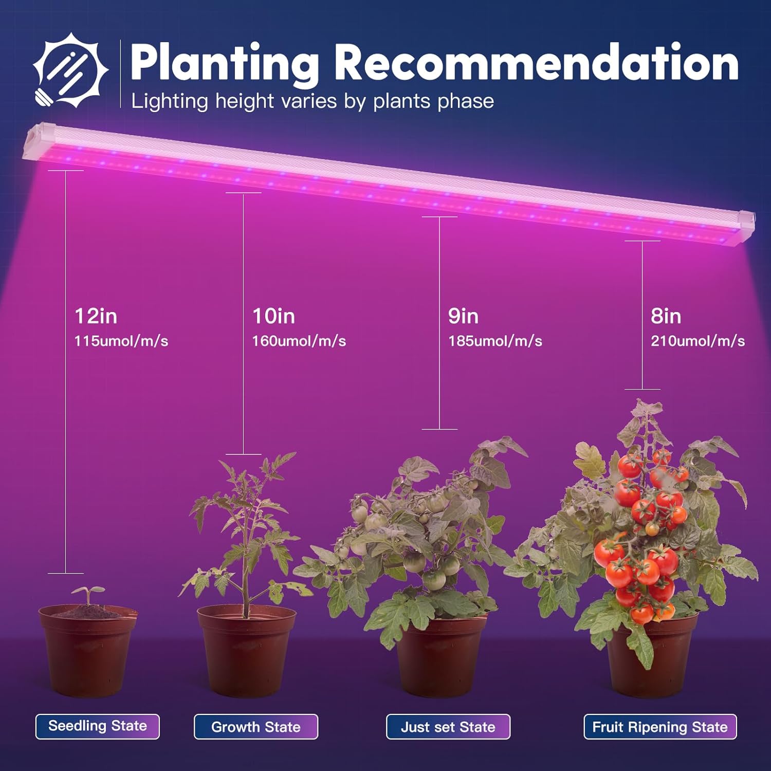 FREELICHT 1 Pack 4FT LED Grow Light, 40W (250W Equivalent), Red Blue (660nm+460nm) Full Spectrum Grow Light for Indoor Plants, Linkable Plug in Plant Growing Lamps for Hydroponic Seeding Veg Flower