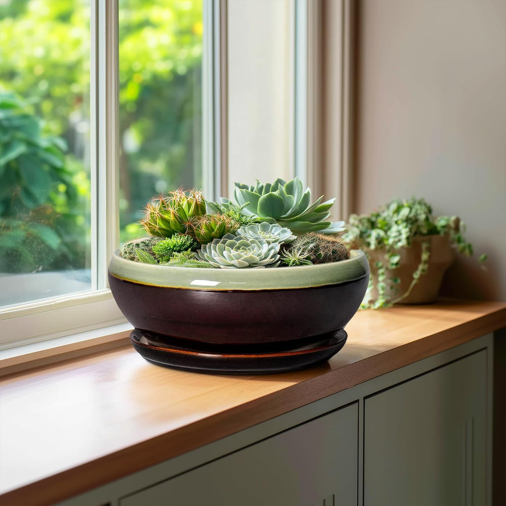 SQOWL Succulent Planters 10 Inch - Ceramic Bonsai Pots with Drainage Hole and Saucer, Shallow Indoor Planter, Round Succulent Pot, Bowl Planter Outdoor, Porch Decor, Gift for Plant Lover, Green-Brown