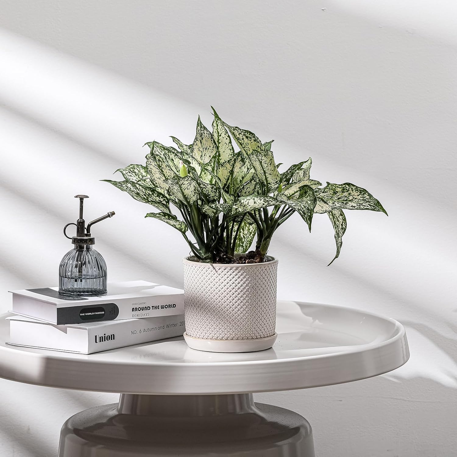 5.8 Inch Plant Pot: Ceramic Planter with Drainage Hole & Saucer for Indoor Outdoor Plants - Flowerpot with Bonded Tray for Home Office - Beaded Embossed Style, Cream White