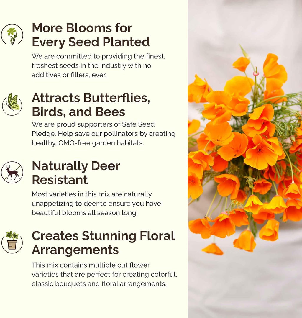 Eden Brothers Deer Resistant Wildflower Mixed Seeds for Planting, 25 lb, 12,000,000+ Seeds with Foxglove, Forget Me Not | Attracts Pollinators, Plant in Spring or Fall, Zones 3, 4, 5, 6, 7, 8, 9, 10