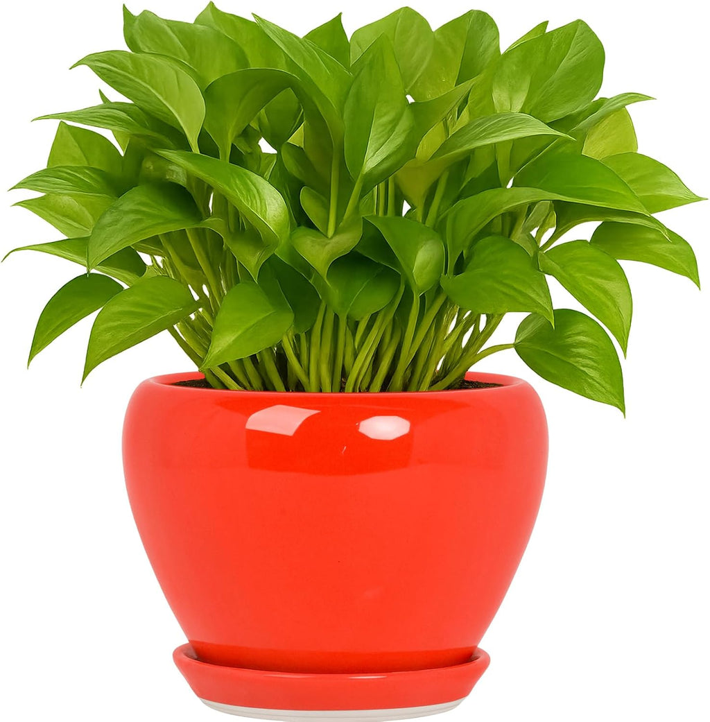 Deep Dream 6 Inch Plant Pots- Ceramic Planter Pot with Drainage Hole and Saucer, Round Flower Pot for Indoor Outdoor Succulent, Snake Plants and Cactus, Red