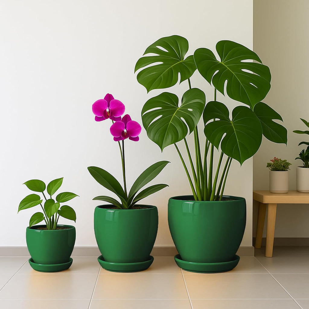 Deep Dream 10 Inch Plant Pot- Ceramic Planter Pot Round Plant Pots for Indoor Plants Outdoor Large Flower Pot with Drainage Holes & Trays, Green