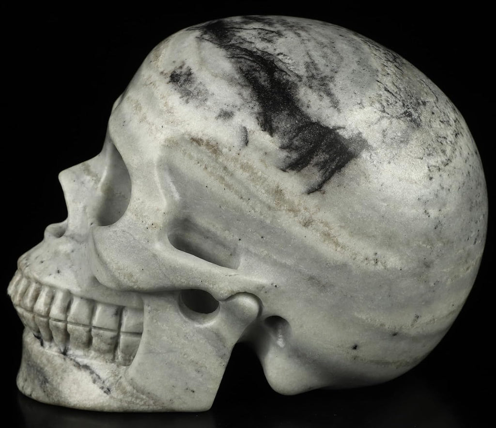 Skullis 5.0”Picasso Jasper Crystal Skull, Hand Carved Gemstone Fine Art Sculpture, Reiki Healing Stone Statue.3160