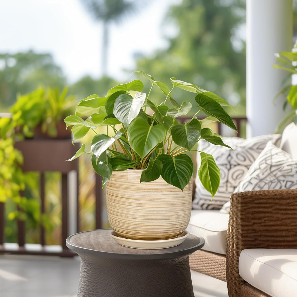 Indoor Plant Pot 8 Inch - Cylinder Modern Ceramic Planter for Indoor Outdoor Plants with Drainage Hole and Saucer, House Office Home Room Desk Decor, Yellow