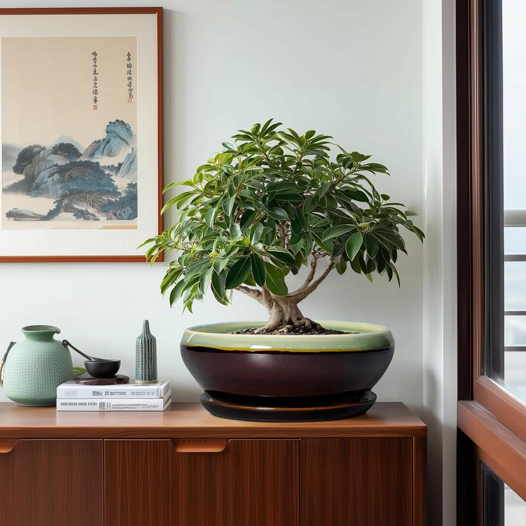 SQOWL Bonsai Pots 12 Inch - Large Ceramic Pots for Succulents with Drainage Hole and Saucer, Shallow Planter for Indoor Plants Outdoor, Round Planter Bowl, Office Decor, Gifts for Women, Green-Brown