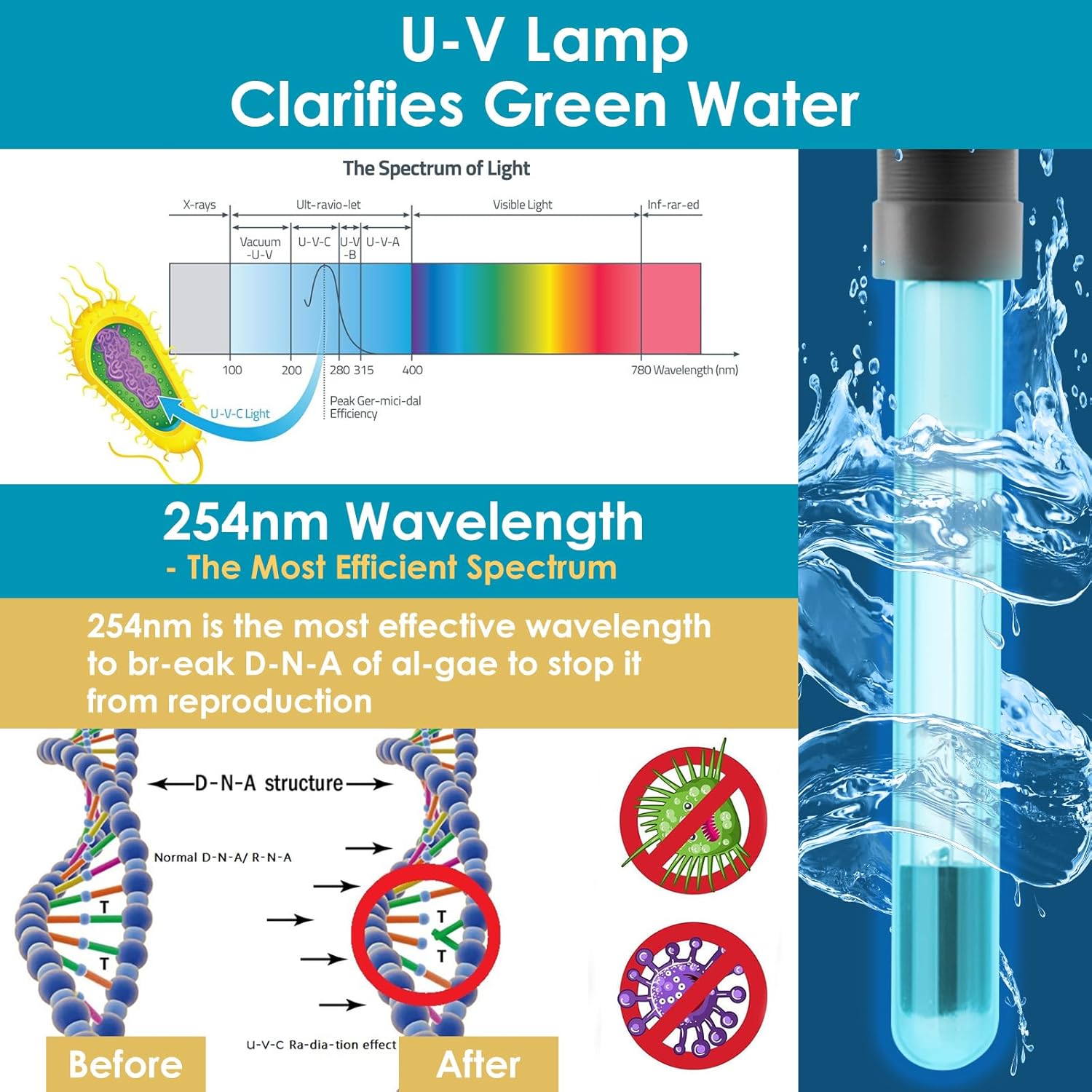 AquaMiracle All-in-1 Pond Fountain Kit 550GPH with 3-Spray Patterns Pond Filters System for Outdoor Ponds with Auto-Color LED & U - V Light to Clean Green Water Fountain Pump for 200-500 Gallon Ponds