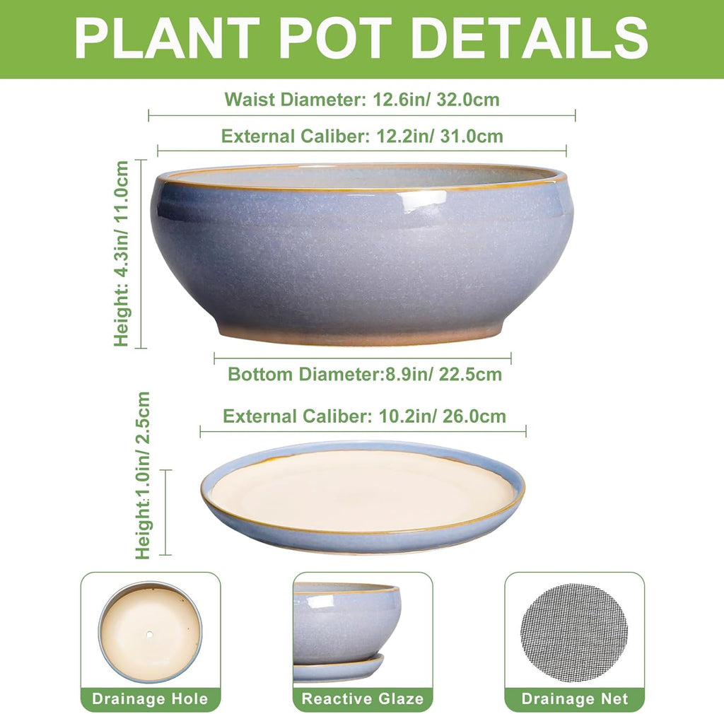 SQOWL 12 Inch Bonsai Pots - Shallow Ceramic Planter for Indoor Plants Outdoor, Large Succulent Pots with Drainage Hole and Saucer, Round Planter Bowl, Porch Decor, Gifts for Plant Lover, Blue