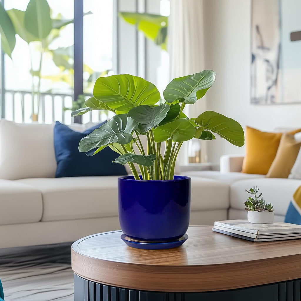 Ceramic Flower Pot 7 Inch - Cylinder 7 Inch Round Planter for Cactus Orchid Plants with Drainage Hole and Saucer, Home Office Room Desk Decor, Blue