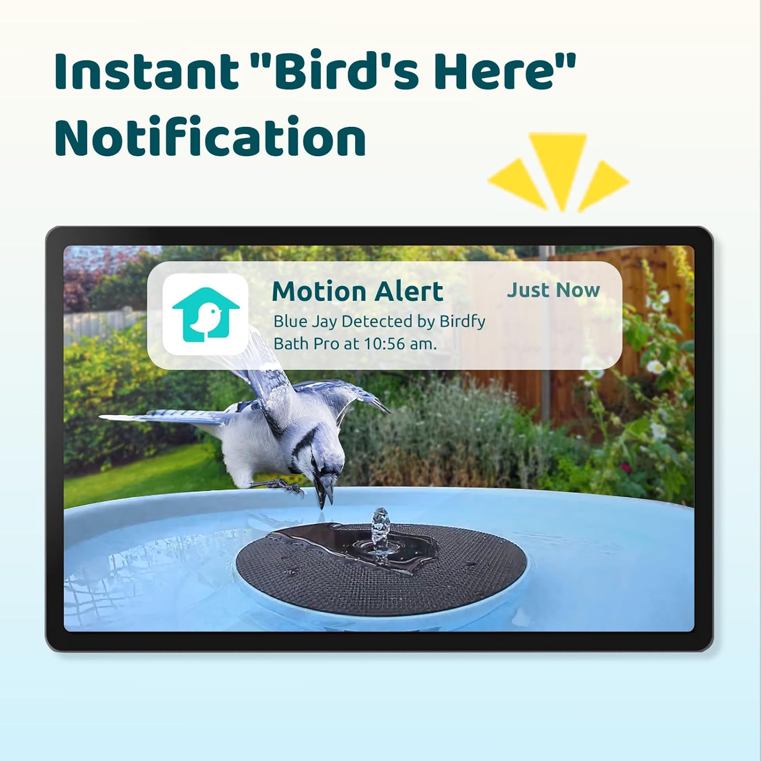 Birdfy Smart Bird Bath with Camera Solar Powered & Fountain & Stand, Dual-Lens Camera for Wildbird Watching, Auto Capture Bird Videos & Motion Detection - AI by Subscription