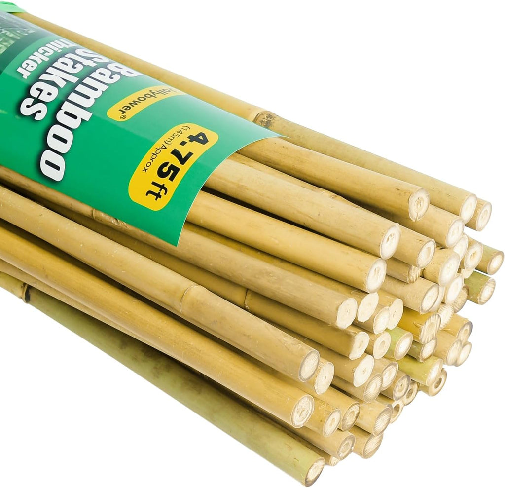 1/2" D 4.75 Feet Bamboo Stakes 50 Pack, Thicker Heavy-Duty Plant Stakes, Natural Garden Stakes for Bean, Tomato, Bean, Flowers,Trees Potted and Climbing Plant Support