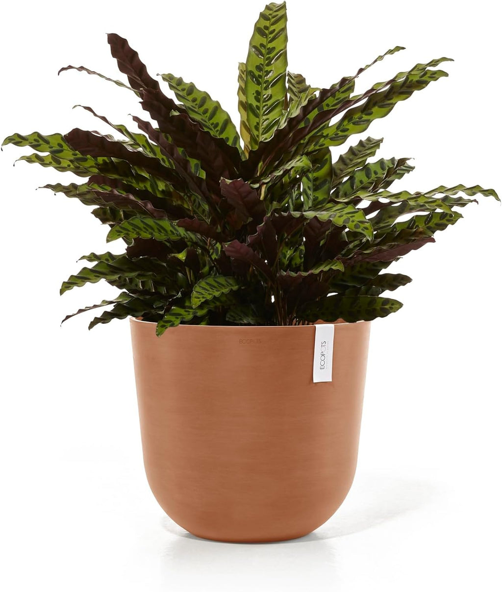 Ecopots Oslo Durable Modern Round Indoor/Outdoor Recycled-Based Composite Flower Pot Planter, Terracotta Color, 17.75"