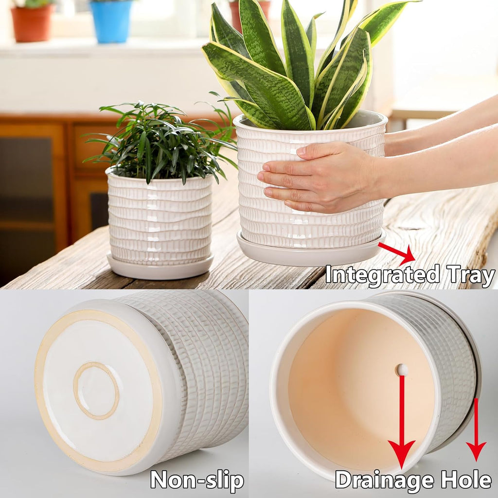 5.8 Inch Plant Pot: Ceramic Planter with Drainage Hole & Saucer for Indoor Outdoor Plants - Flowerpot with Bonded Tray for Home Office - Wave Embossed