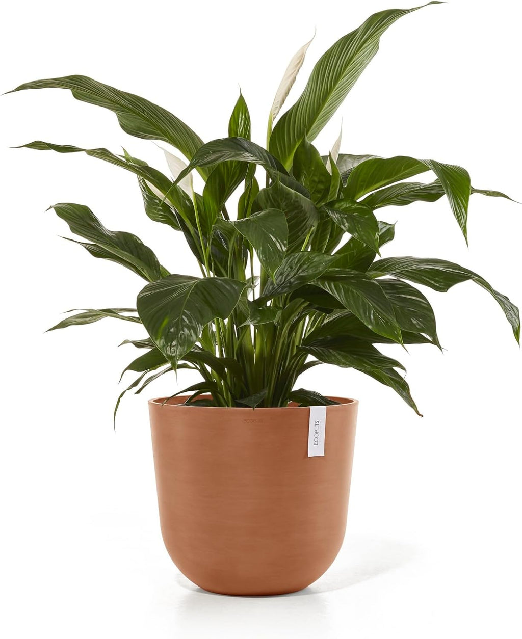 Ecopots Oslo Durable Modern Round Indoor/Outdoor Recycled-Based Composite Flower Pot Planter, Terracotta Color, 17.75"