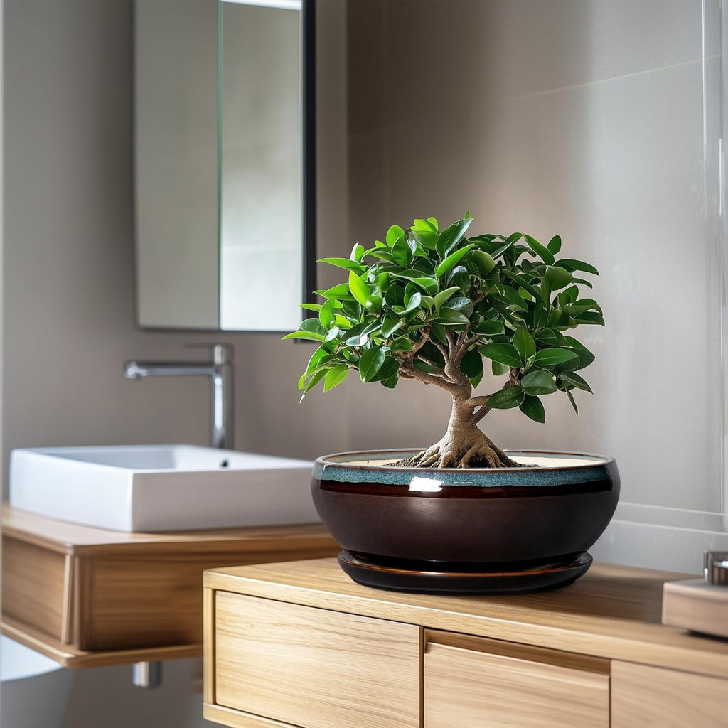 SQOWL Bonsai Tree Pots - 10 Inch Ceramic Succulent Pots with Drainage Hole and Saucer, Round Shallow Plant Pot Indoor Outdoor, Ceramic Bonsai Pot, Bowl Planter, Home Decor, Garden Gifts, Blue-Brown