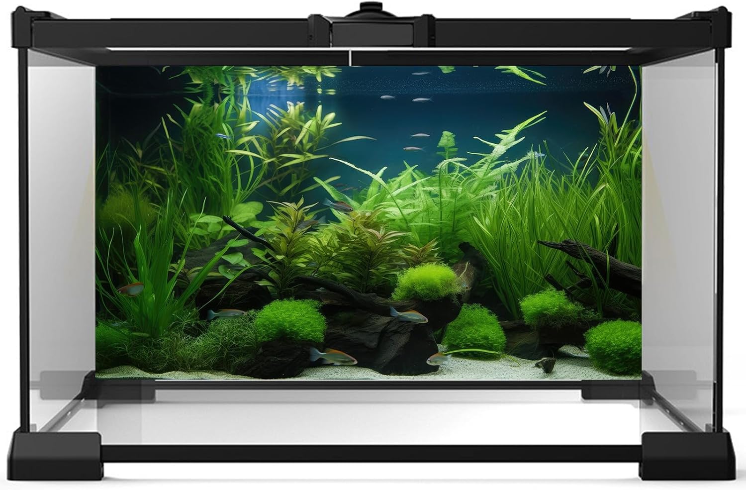Aquarium Background Diverse Collection of Aquatic Plants Seagrasses Terrarium Background Redwood Root Moss Tropical Style Underwater Plants Fish Tank Background Under The Sea Aquarium Backdrop 24x16in