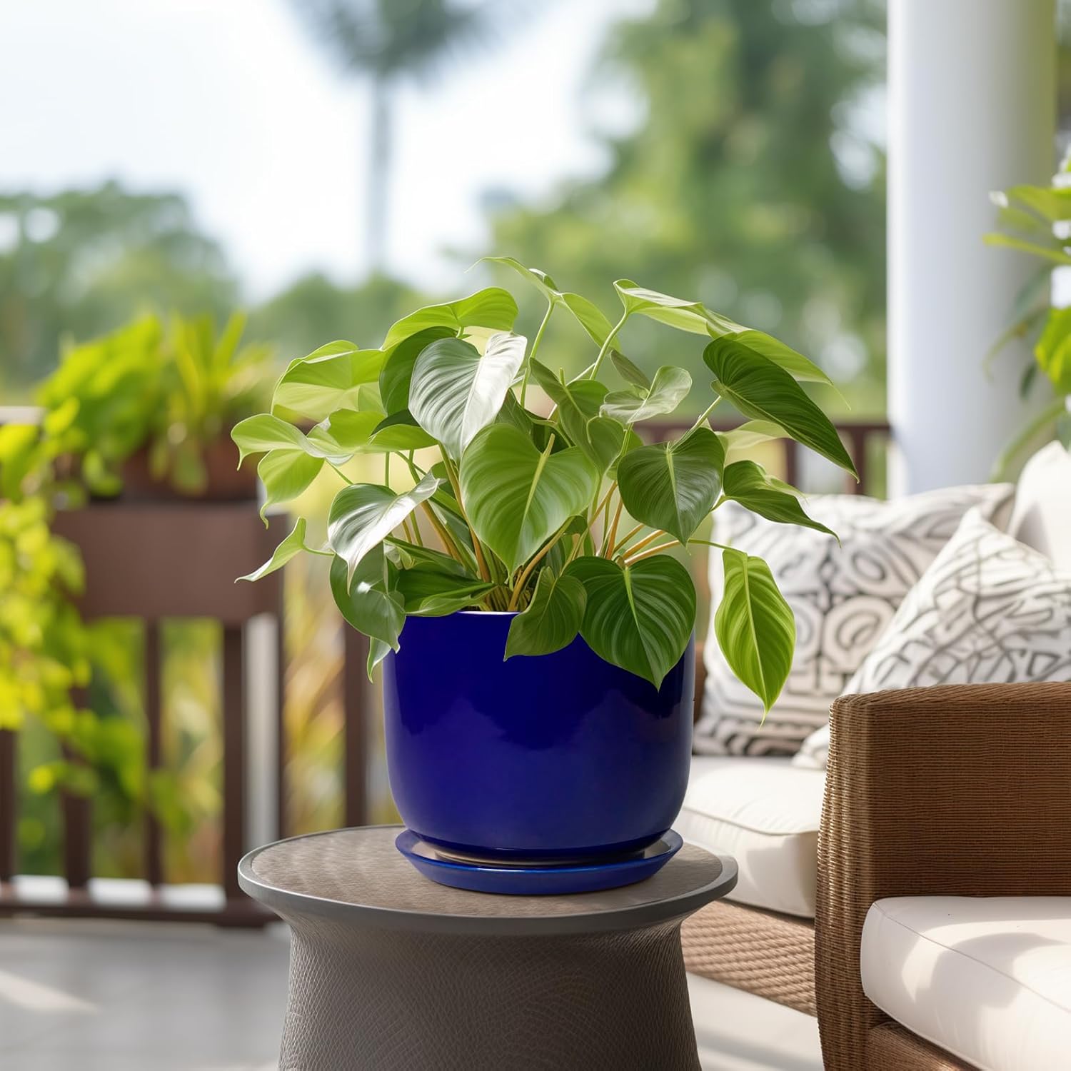 8 Inch Ceramic Plant Pot - Decorative Round Planter for Indoor Plants with Drainage Hole and Saucer, Home House Room Office Garden Decor, Blue