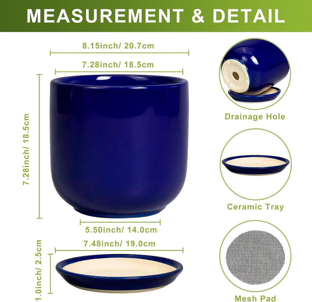 8 Inch Ceramic Plant Pot - Decorative Round Planter for Indoor Plants with Drainage Hole and Saucer, Home House Room Office Garden Decor, Blue